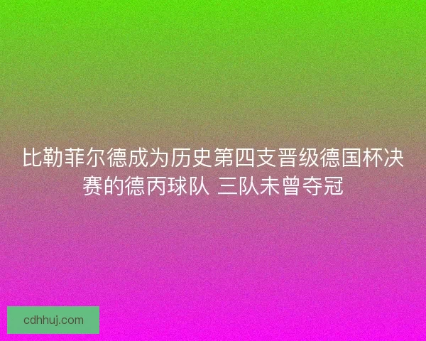 比勒菲尔德成为历史第四支晋级德国杯决赛的德丙球队 三队未曾夺冠